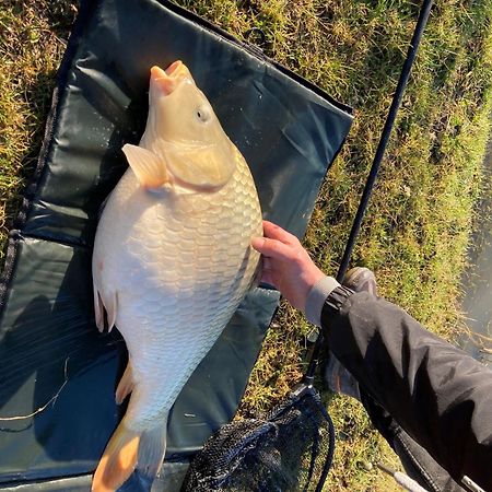 Snug & Secluded Lakeside Shepherds Hut 'Carp' アックフィールド エクステリア 写真