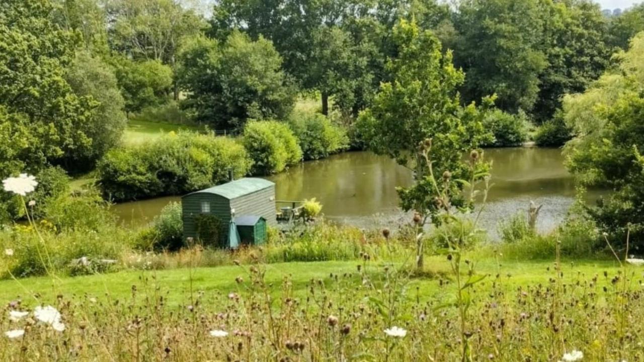 Snug & Secluded Lakeside Shepherds Hut 'Carp' アックフィールド エクステリア 写真