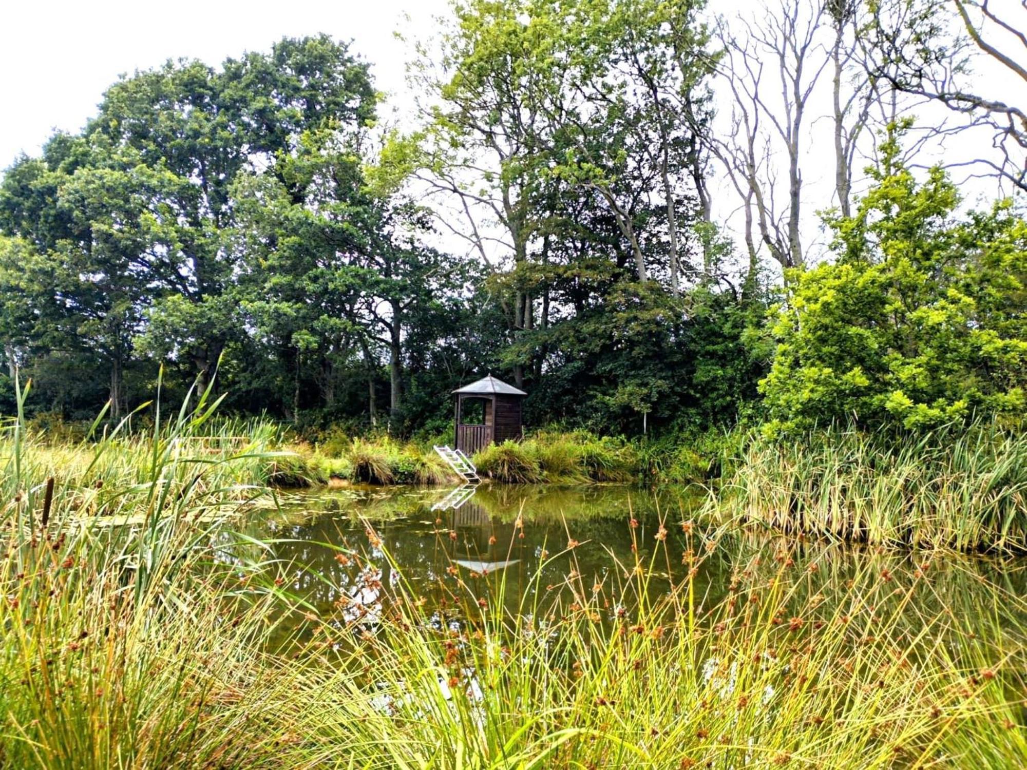 Snug & Secluded Lakeside Shepherds Hut 'Carp' アックフィールド エクステリア 写真