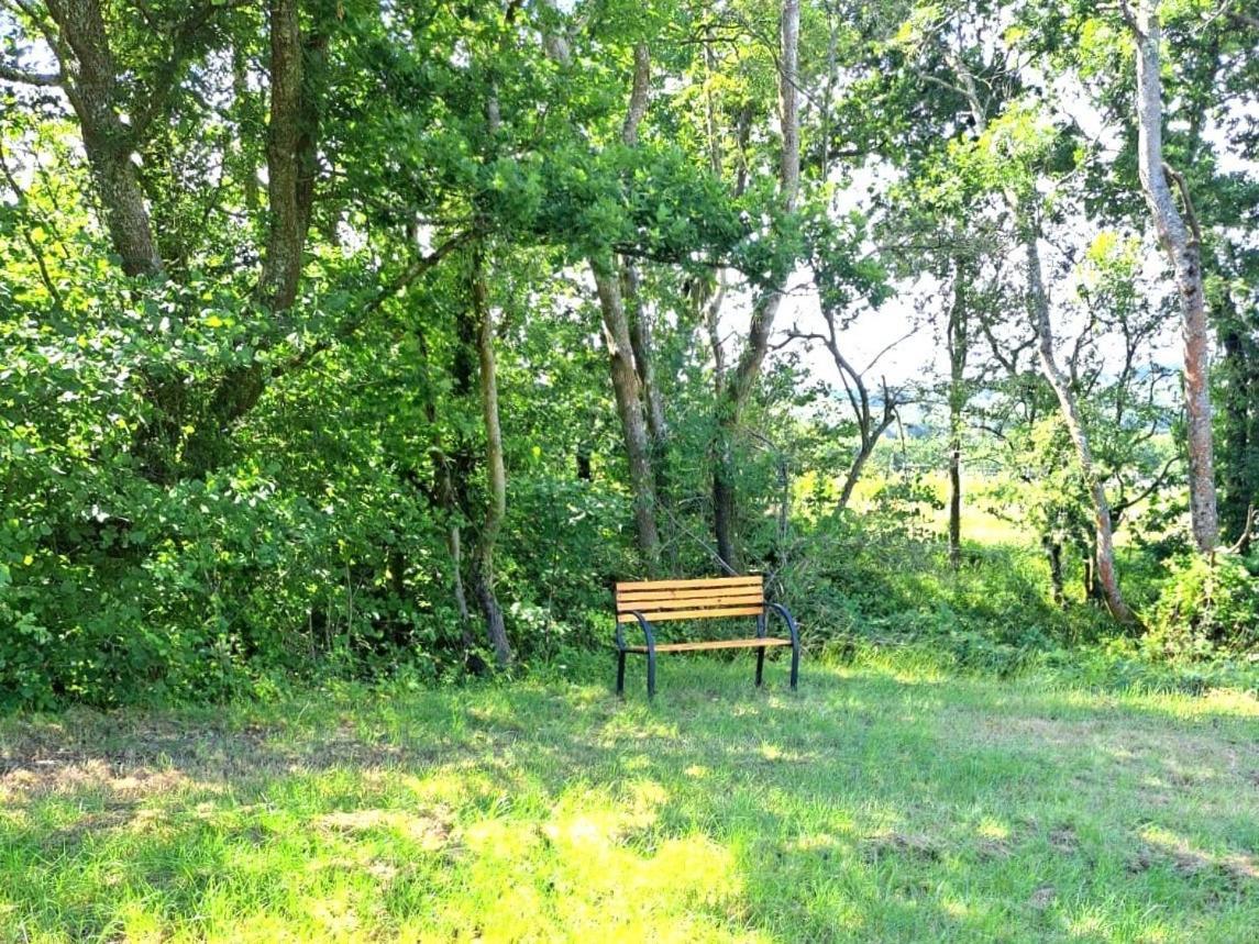 Snug & Secluded Lakeside Shepherds Hut 'Carp' アックフィールド エクステリア 写真