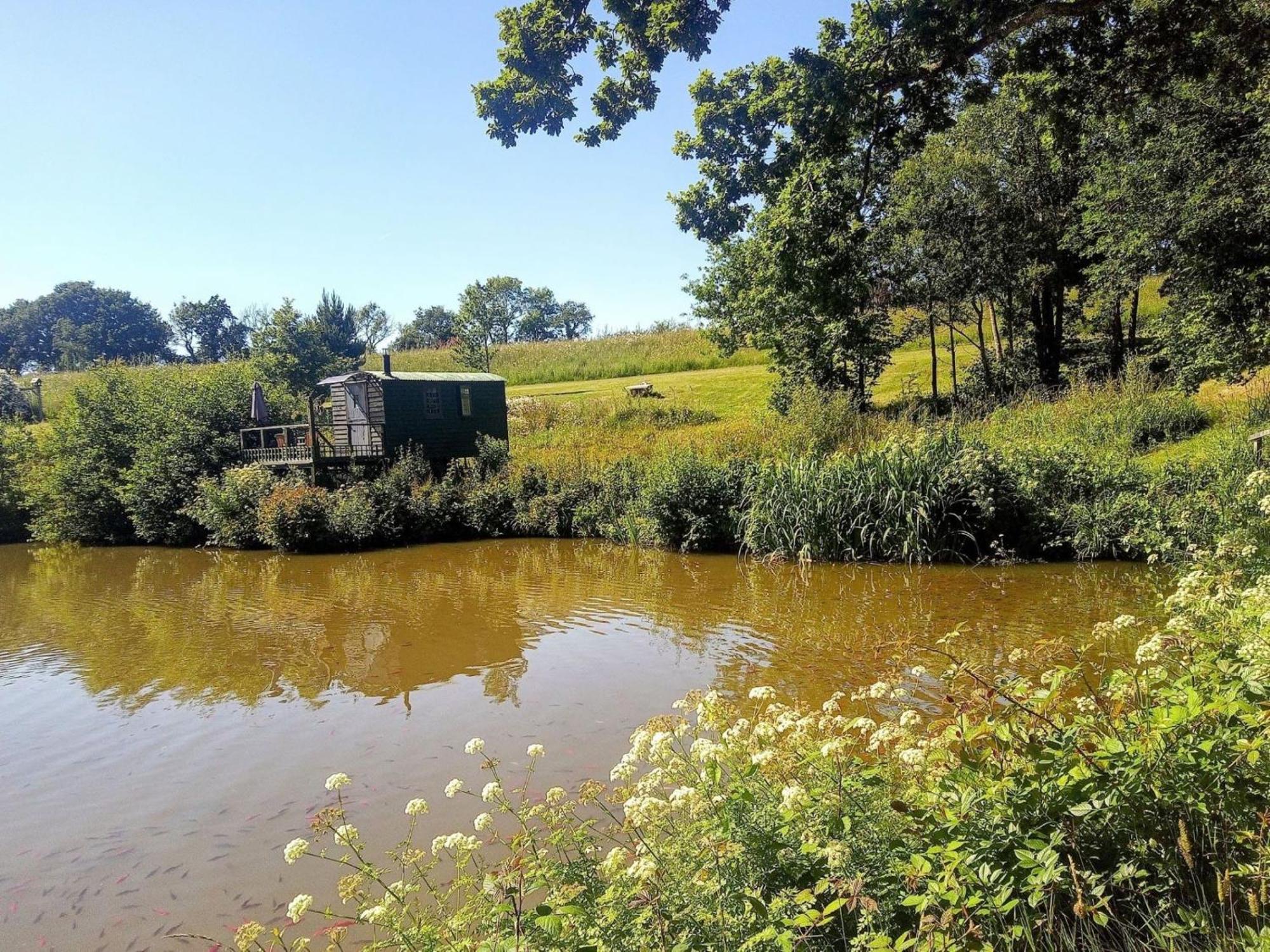 Snug & Secluded Lakeside Shepherds Hut 'Carp' アックフィールド エクステリア 写真
